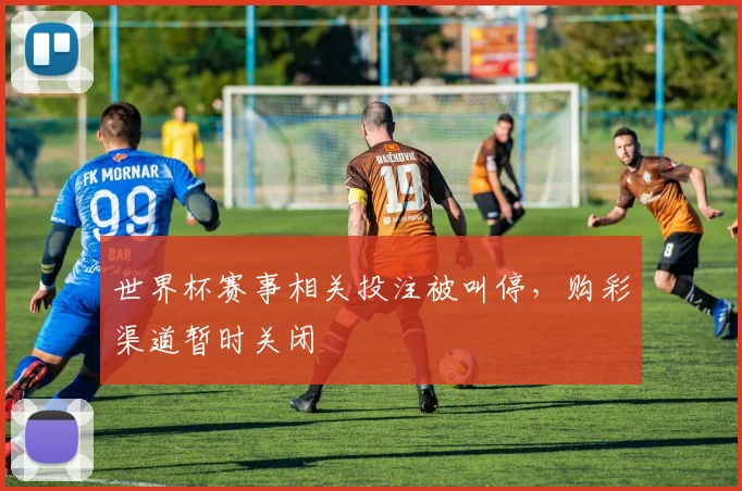 世界杯赛事相关投注被叫停,购彩渠道暂时关闭