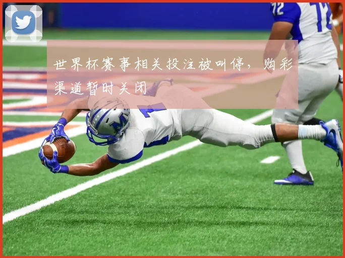 世界杯赛事相关投注被叫停，购彩渠道暂时关闭