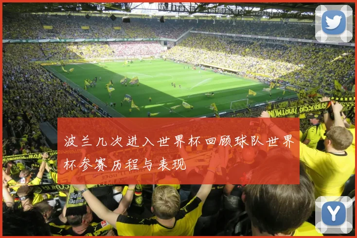 波兰几次进入世界杯回顾球队世界杯参赛历程与表现